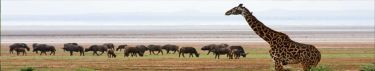 k-836