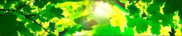 t-404