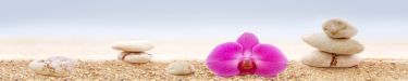 k-2137